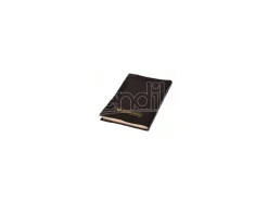Harry Potter Diario Tom Marvolo Riddle 22 Cm Noble Collection
