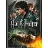Harry Potter e I Doni della Morte - Parte 2 DVD Warner Bros.