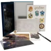 Harry Potter e La Pietra Filosofale Libro Scatola da Collezione 19 Cm Gadget