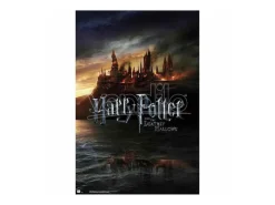 Harry Potter E The Doni Della Morte Poster Erik