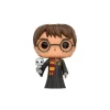 Harry Potter Funko POP Film Vinile Figura Harry Potter con Edvige 9 cm