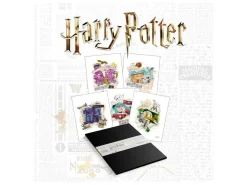 Harry Potter Lithograph 10-Set 36 X 28 Cm FaNaTtik