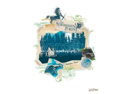 Harry Potter Lithograph 10-Set 36 X 28 Cm FaNaTtik