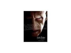 Harry Potter Poster Di Vetro Voldemort 30 X 40 Cm Sd Toys