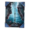 Harry Potter Poster Di Vetro Harry & Voldemort 30 X 40 Cm Sd Toys