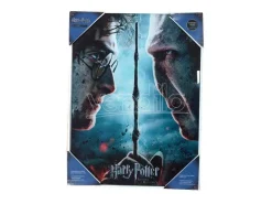 Harry Potter Poster Di Vetro Harry & Voldemort 30 X 40 Cm Sd Toys