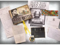 Harry Potter Replica Artefact Box Harry Potter 20 x 28 cm Noble Collection