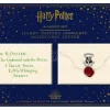 Harry Potter Set Magnete Letteraa Di Accettazione A Hogwarts Di 5,5 X 8 Cm Noble