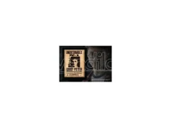 Harry Potter Targa / Placca "Indesiderabile N. 1" Collezione Noble Collection