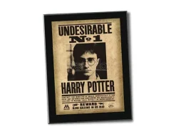 Harry Potter Targa / Placca "Indesiderabile N. 1" Collezione Noble Collection