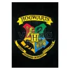 Harry Potter Telo Mare Asciugamano Nero con Stemma Hogwarts Groovy
