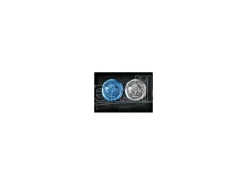 Harry Potter Timbro Corvonero 10 Cm Noble Collection