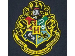 Harry Potter Wall Banner Hogwarts 30 X 44 Cm Cinereplicas