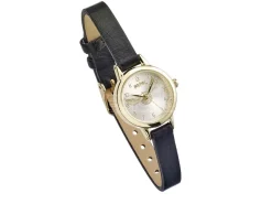 Harry Potter Watch Boccino D'oro Carat Shop, The