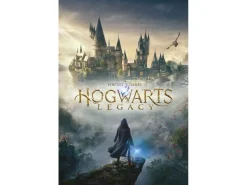 Hogwarts Legacy Poster Pack Wizarding World Universe 61 X 91 Cm  Pyramid International