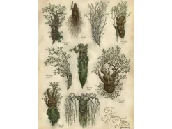 Il Signore Degli Anelli Art Print Ent's Of Fangorn Forest 59 X 30 Cm Weta Workshop
