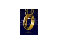 Il Signore degli Anelli Replica 1/1 Anello con Catenina 60 Cm Noble Collection