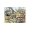Italeri IT6096 GERMAN PAK 40 GUN W/SERVANT KIT 1:72 Modellino