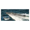 ITALERI IT5625 SCHNELLBOOT S-26/S-38 KIT 1:35 Modellino