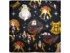 Loungefly Harry Potter Spring bag Loungefly