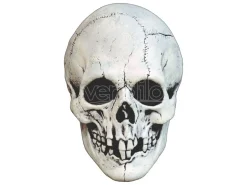 Mabry Monsters Mask Night Owl Skull White Trick Or Treat Studios