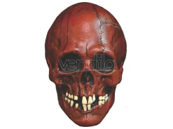 Mabry Monsters Mask Night Owl Skull Blood Trick Or Treat Studios