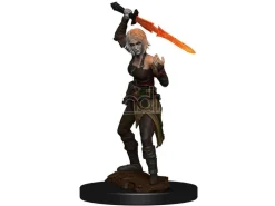 Magic The Gathering Unpainted Miniature Nahiri Case (6) Wizkids