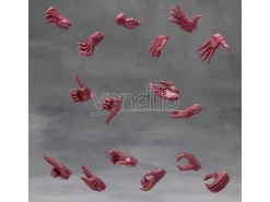 Megalomaria Unlimited Universe Model Kit Accessory Set Ex Hand Unit Male Type A Red Ver. Kotobukiya