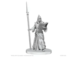 Pathfinder Deep Cuts Unpainted Miniatures Vloriak (despoiler Demon) & Demonologist Wizbambino