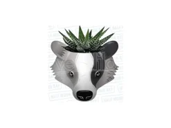 Plnthp02 - Harry Potter- Plant Pot - Harry Potter (tassorosso) Gadget