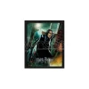 POSTER 3D LENT HARRY POTTER SNAPE - GADGET
