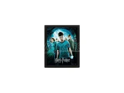 POSTER 3D LENT HARRY POTTER FENICE - GADGET