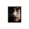 POSTER 3D LENT HARRY POTTER VOLDEMORT - GADGET