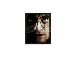 POSTER 3D LENT HARRY POTTER VOLDEMORT - GADGET
