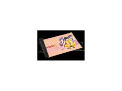 Ranma 1/2 Playmat Ranma Boy E Friends Playmat Don T Panic Games