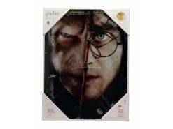 Sd Toys Harry Potter Half Face Harry&voldemort Poster di Vetro
