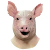 Spiral Mask Pig Trick Or Treat Studios
