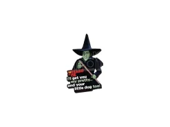 The Wizard Of Oz Funky Chunky Magnet I'll Get You... Aquarius