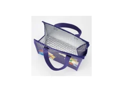 Whisper Of The Heart Cooler Bag Faeries Skater
